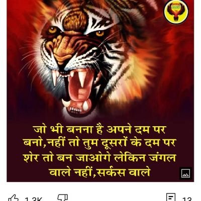 Sailesh74513300's profile picture. I love my indian