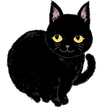 もなさんのプロフィール画像