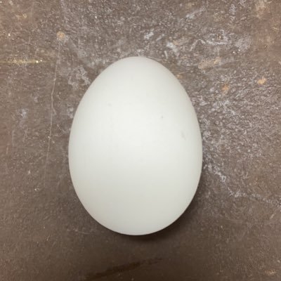 ぱらしゅーさんのプロフィール画像