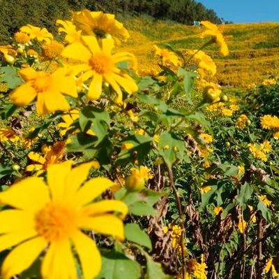 playthza01's profile picture. 