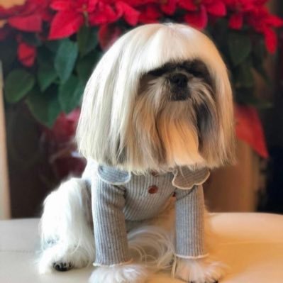 holy_coochie's profile picture. I believe in the opposite of whatever brought you here