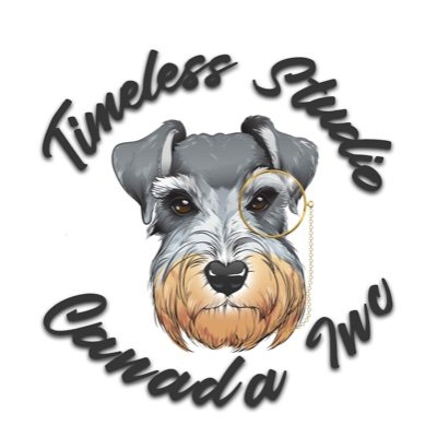 TimelessCanada's profile picture. We are a reliable service provider in Fort St. John, Canada, with expertise in Business branding, Advertising, Web Design, Photography & SMO services.