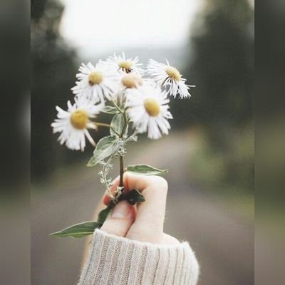 ntasha_alee's profile picture. Chill & Positive 🌈