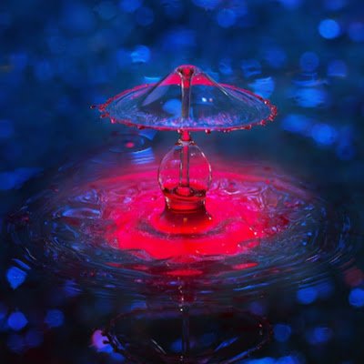 Nunu_1712's profile picture. 