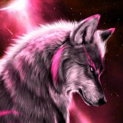 blaine_null's profile picture. 