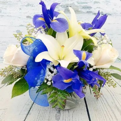 SHALOMEACL's profile picture. 