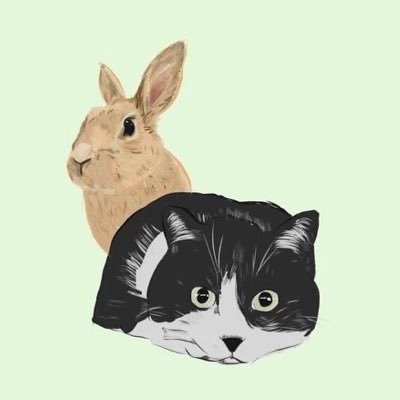 mofumofushuudan's profile picture. 1🐰7🐈🐈‍⬛1🦔の大家族です！ 7🐈🐈‍⬛は保護猫です！ 日々の記録として投稿していこうと思っています☺️よろしくお願いします🙇🏻‍♀️🙇🏻‍♂️ 無言フォローすみません💦