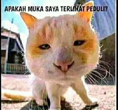 Lymow2's profile picture. lymow44505

- Terban AWOKAWOKAWOK