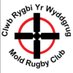 Mold Rugby Club (@moldrfc) Twitter profile photo