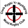 moldrfc's profile picture. A club for all the family. Teams from u3 - u17, Youth, Veterans, 3rd XV, 2nd XV, 1st XV. Instagram-moldrfc