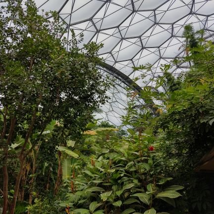 Neesh_bloggs's profile picture. Find me on the other place