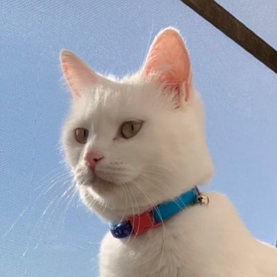 taku4freeride's profile picture. HIPHOP ロック音楽好き スノーボード 車好き