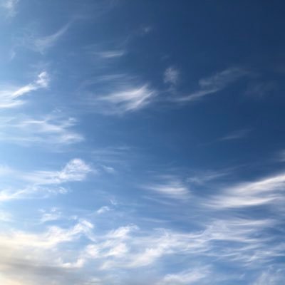 JonBohn25's profile picture. Who are you?