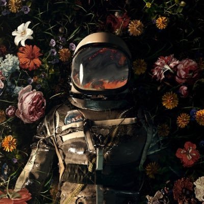 typowymateusz's profile picture. I want to see the world and change the world.