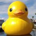Sat (@sat98635697) Twitter profile photo Sat (@sat98635697) Twitter profile photo