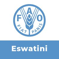 FAO Eswatini(@FAOEswatini) 's Twitter Profile Photo