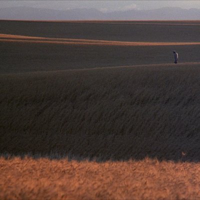 jumpnarcissus's profile picture. Shymkent