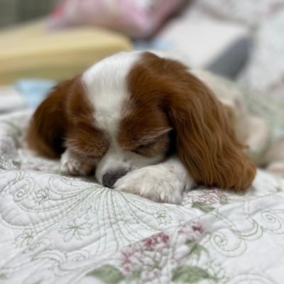 moka_emi1122's profile picture. 