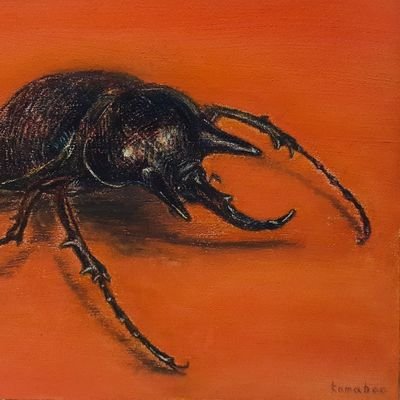 Yuta Noguchi（昆虫作家kamaboo）さんのプロフィール画像