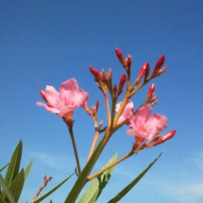 SigmaML's profile picture. प्रज्ञानं ब्रह्म, तत्त्वमसि

Technologist, Sage Archetype