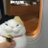 茜の日記のアイコン