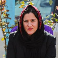 Alison Davidian (@davidianali) 's Twitter Profile
