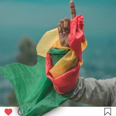 NhattyAlem's profile picture. 