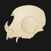 Skully Brookes (@skully_b) 's Twitter Profile