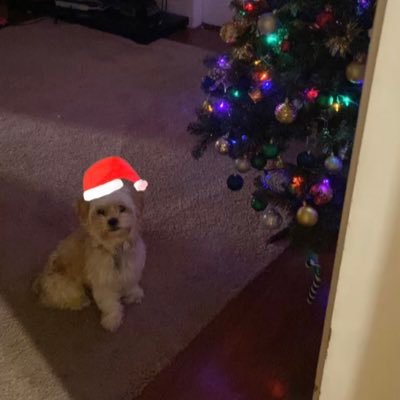 Darla Claire on Twitter: “Just missed my flight🤦🏻‍♀️🤦🏻‍♀️” / Twitter