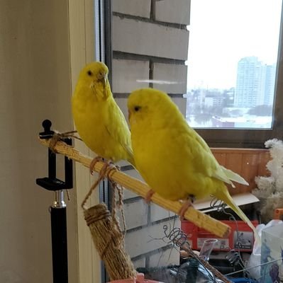 7281911's profile picture. Я Русский, Я против вторжения в Украину.

Закоренелый базист. РелЯционка это все, остальное 
остальное от лукавого.