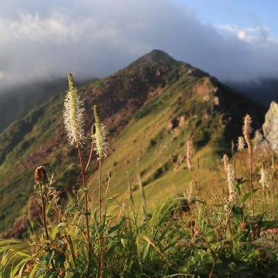 自称絶景ハンター。気儘に四季折々北海道の自然を楽しんでいます。
日ハムの勝敗で一喜一憂。