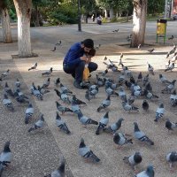 Tufan Furkan AÇOĞLU (@tufanfurkan27) 's Twitter Profile