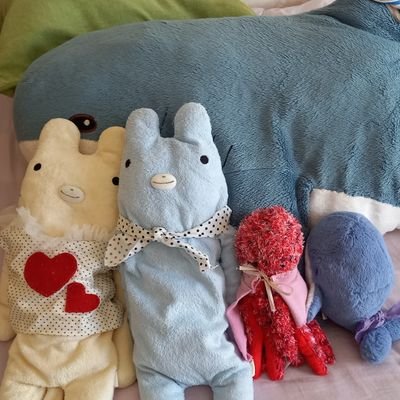 0141Teishoku's profile picture. ぬいぐるみ/金魚を愛でます😘IKEAのサメ🦈フモフモさん🧸その他愉快な仲間たちとの暮らしを発信✨すみっコぐらしはにせつむり🐌さんOP🏴‍☠️はキラーさん🌐推しです‼️ε( ε•o•)э 𓈒𓏸◌
無言フォローすみません😳