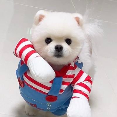 476B6B's profile picture. 