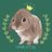 ハルタ🐰❤️のアイコン