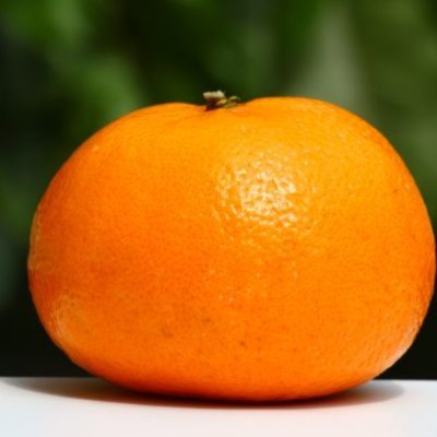 vixvisvim's profile picture. It's good for you