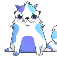 crypto_fuse (@crypto77s) 's Twitter Profile