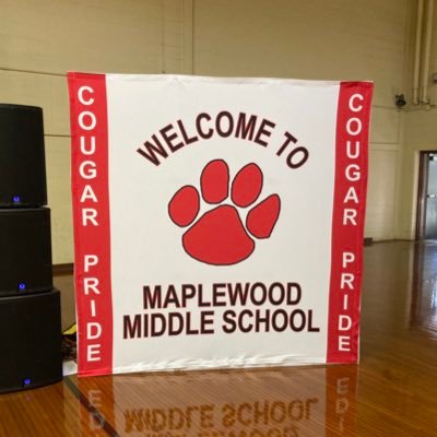 Official Twitter account of Maplewood Middle School Principal Dara Gronau. Proud to brag about our fabulous staff and students and connect w/ the MMS community!