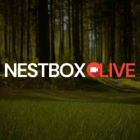 Nest Box Live(@nestboxlive) 's Twitter Profile Photo