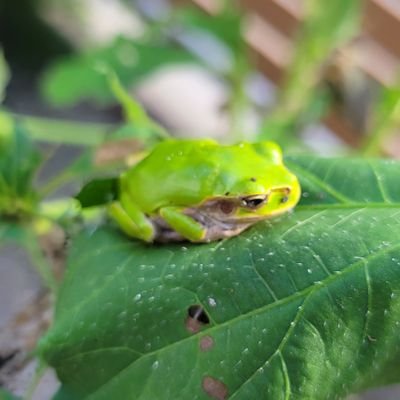 人生行き当たりばったり出たとこ勝負