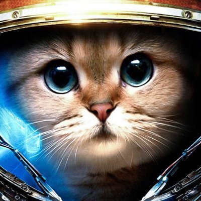 koshak_b's profile picture. Doing some stuff in crypto