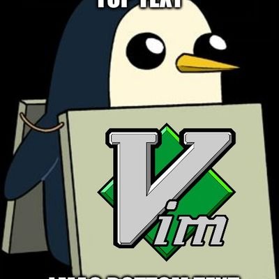 Militante.

Programad en vim o afrontad las consecuencias.

O en Emacs, Emacs también es bien.