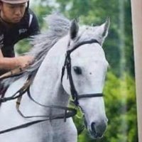 くろにい🦐 (@shrimp_ayacho) 's Twitter Profile