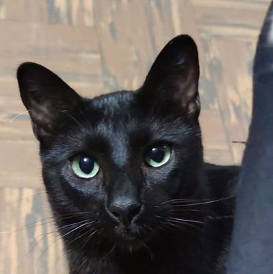 EdiRubio1's profile picture. 