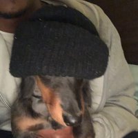 Lacy Mcgrady (@elujay) 's Twitter Profile