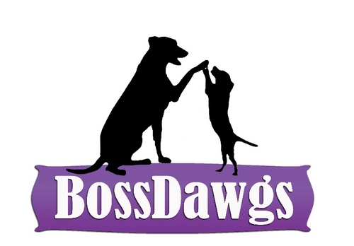 BossDawgs's profile picture. New site where you showcase your skills/trade, goals and city and network with other future entrepreneurs. Come visit and find a business partner or two!