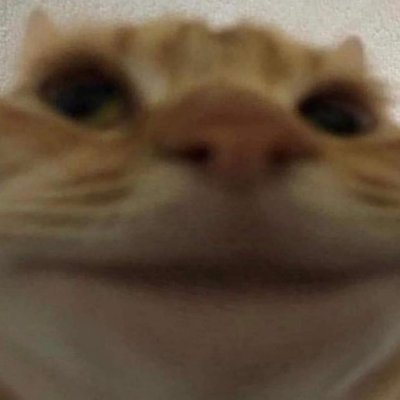 A big stupid with high expectations.
I regained 90% of myself.
FACEIT: https://t.co/B5KA1NE995…
Steam: https://t.co/PIjDP082RI
