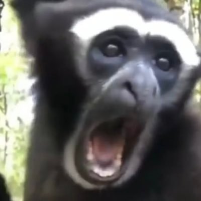 ImCrackd's profile picture. Certified boy lover.