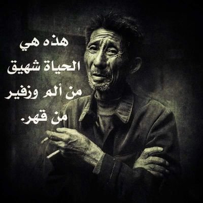 alsydah24523684's profile picture. 