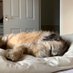 Mr Fred & Miss Wilma (@broaderborderbt) Twitter profile photo Mr Fred & Miss Wilma (@broaderborderbt) Twitter profile photo